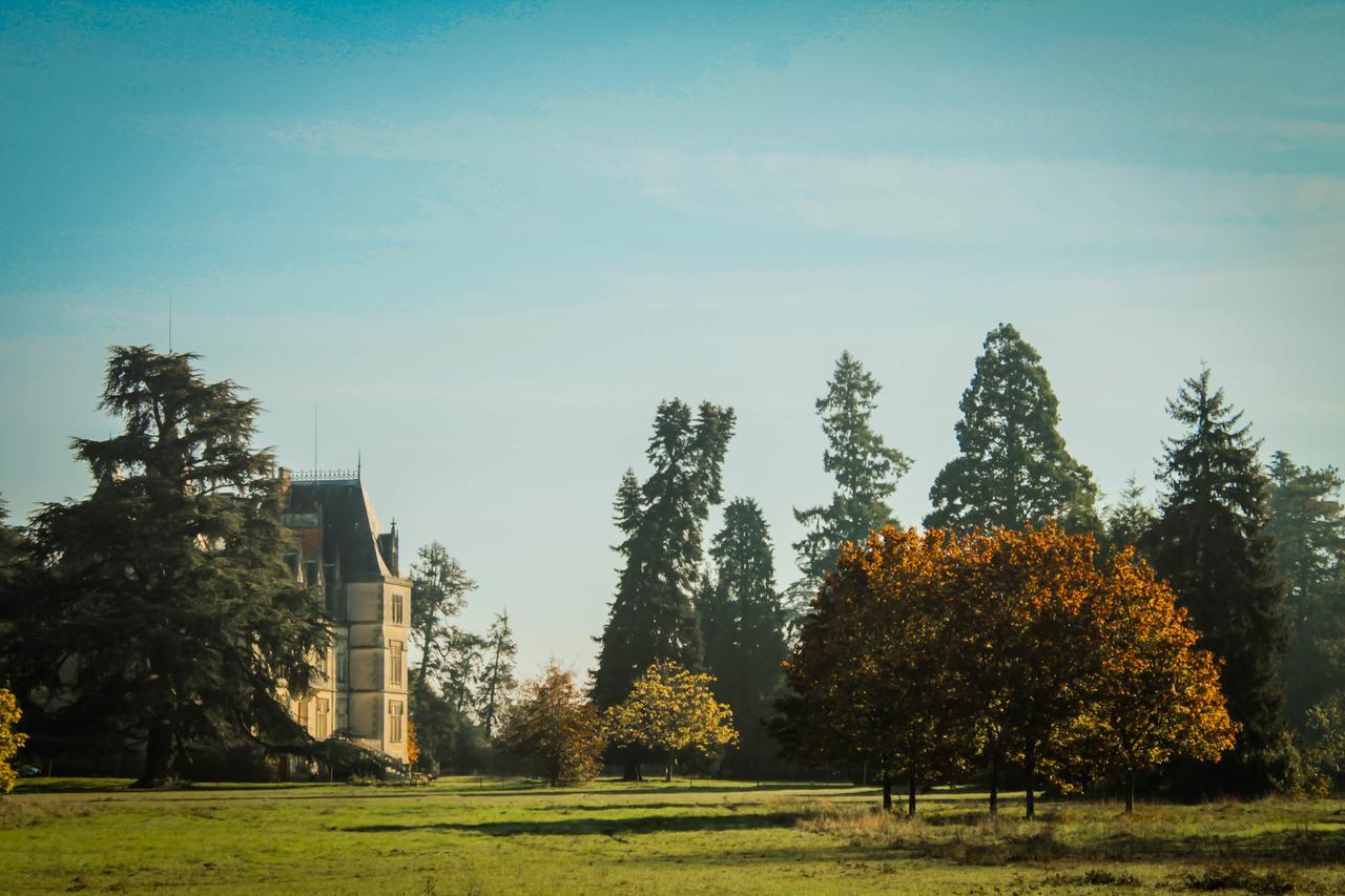 Chateau Le Boisrenault Hotel Buzancais Exterior photo