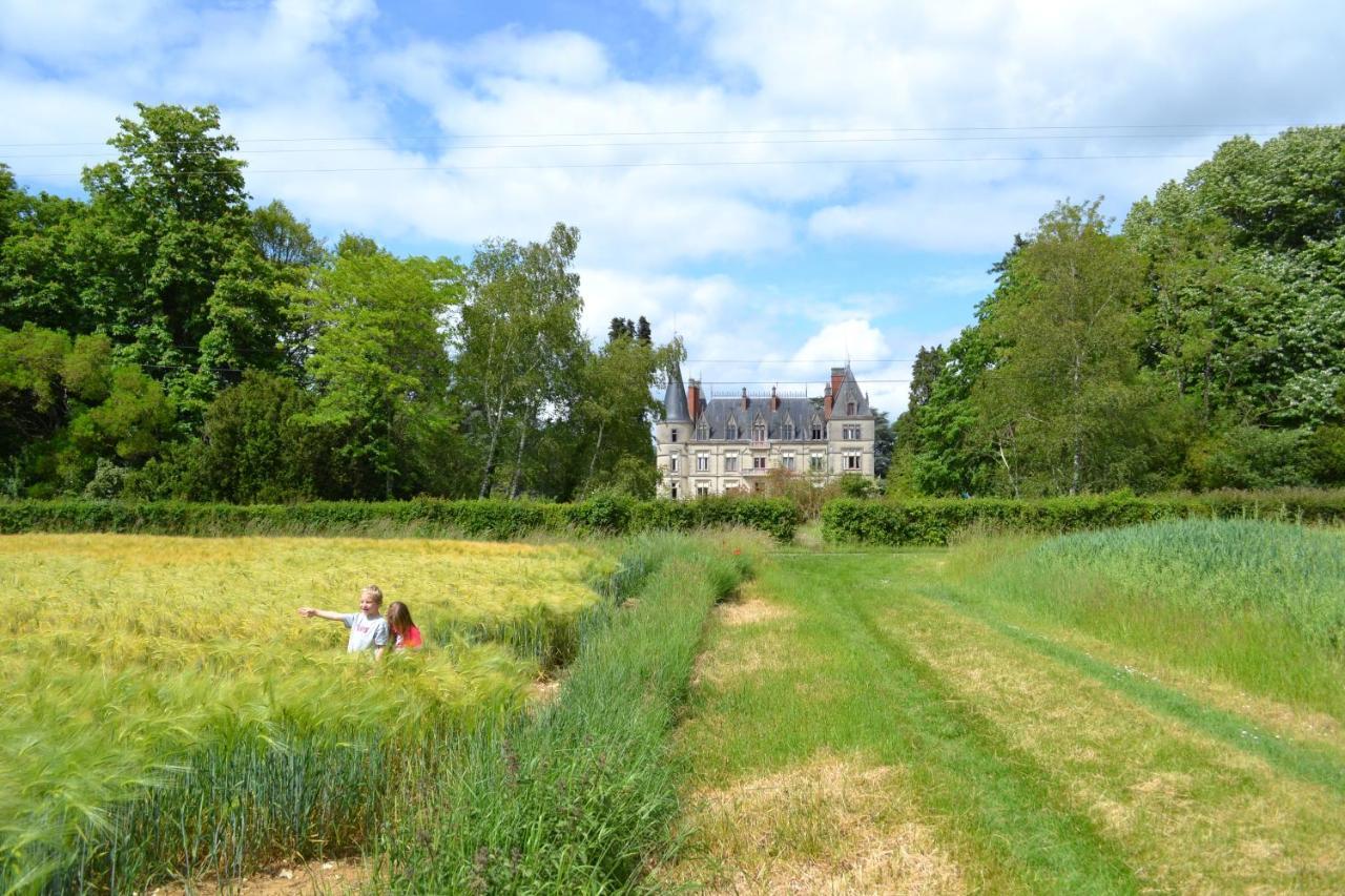 Chateau Le Boisrenault Buzancais Exterior photo